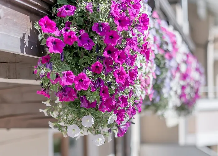 索恩泽特度假屋 索尔登